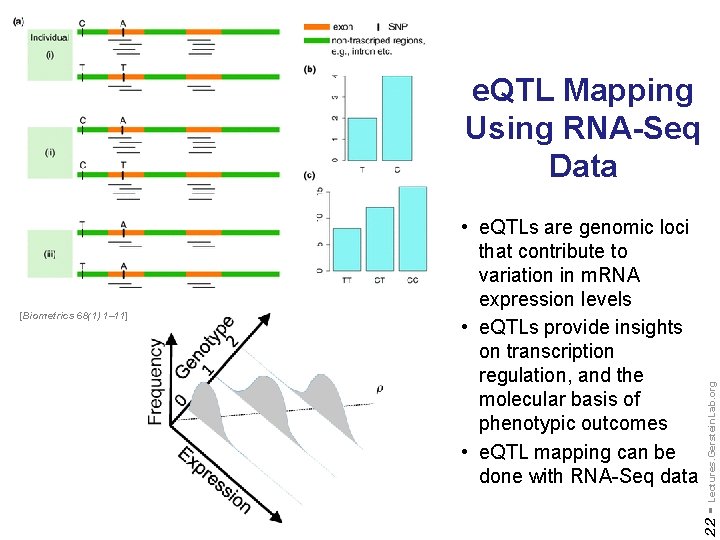 22 - [Biometrics 68(1) 1– 11] • e. QTLs are genomic loci that contribute