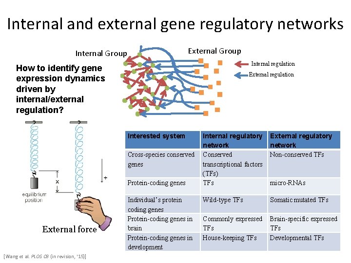 Internal and external gene regulatory networks External Group Internal regulation How to identify gene