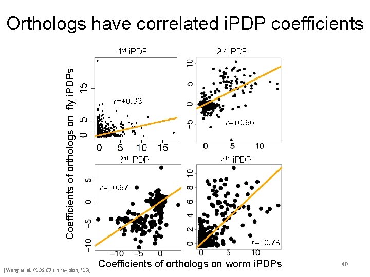 Orthologs have correlated i. PDP coefficients Coefficients of orthologs on fly i. PDPs 1