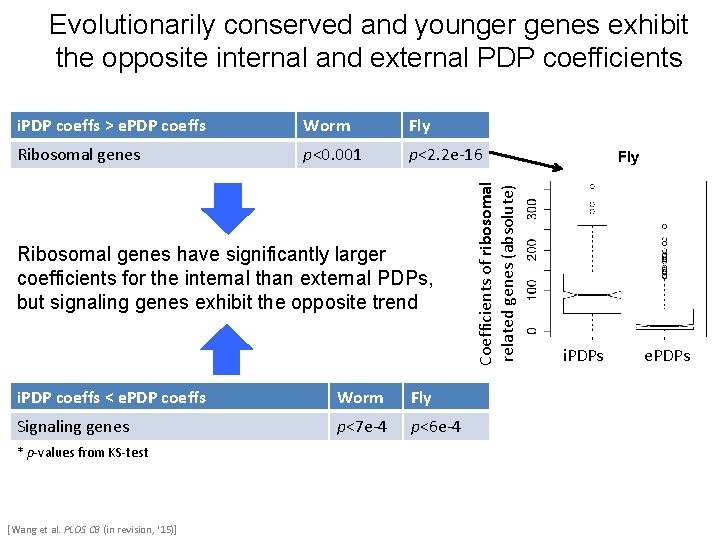 Evolutionarily conserved and younger genes exhibit the opposite internal and external PDP coefficients Worm