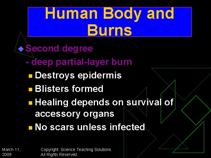 Human Body and Burns u Second degree - deep partial-layer burn n Destroys epidermis