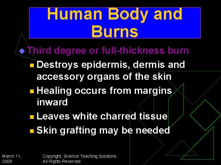 Human Body and Burns u Third degree or full-thickness burn n Destroys epidermis, dermis