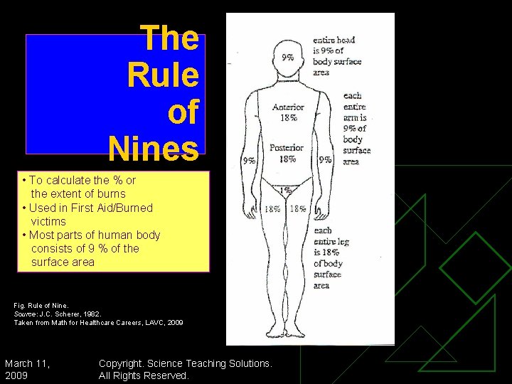 The Rule of Nines • To calculate the % or the extent of burns