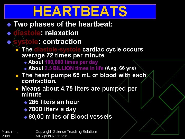 HEARTBEATS Two phases of the heartbeat: u diastole: relaxation u systole: contraction u n