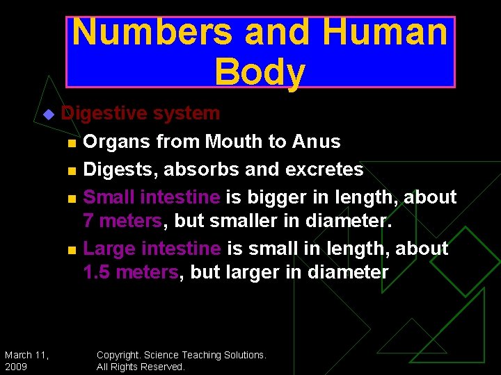 Numbers and Human Body u March 11, 2009 Digestive system n Organs from Mouth