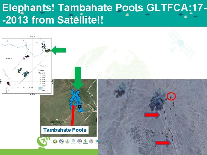 Elephants! Tambahate Pools GLTFCA: 17 -9 -2013 from Satellite!! Tambahate Pools 
