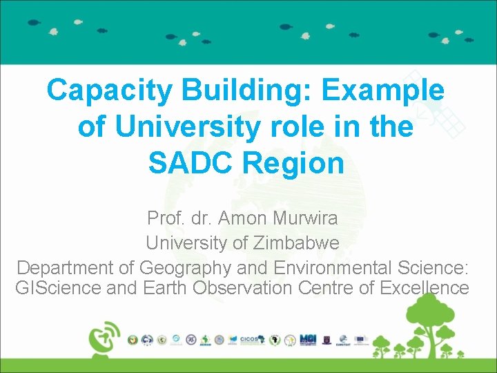 Capacity Building: Example of University role in the SADC Region Prof. dr. Amon Murwira