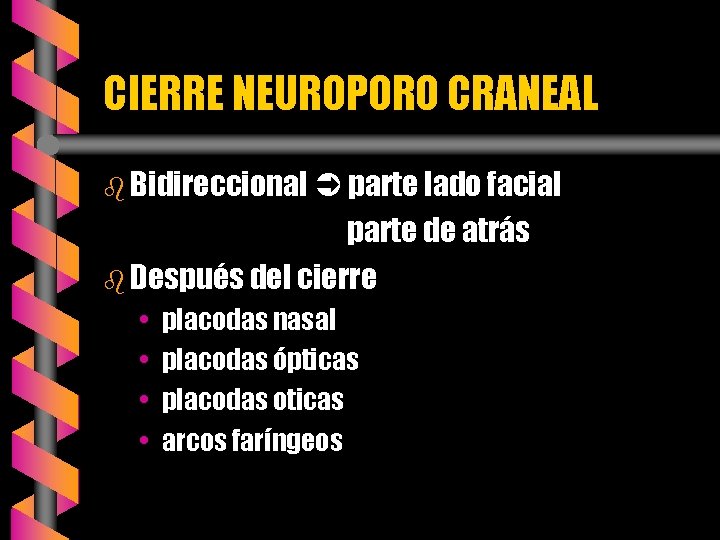 CIERRE NEUROPORO CRANEAL b Bidireccional parte lado facial parte de atrás b Después del