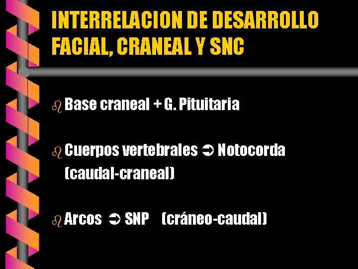 INTERRELACION DE DESARROLLO FACIAL, CRANEAL Y SNC b Base craneal + G. Pituitaria b