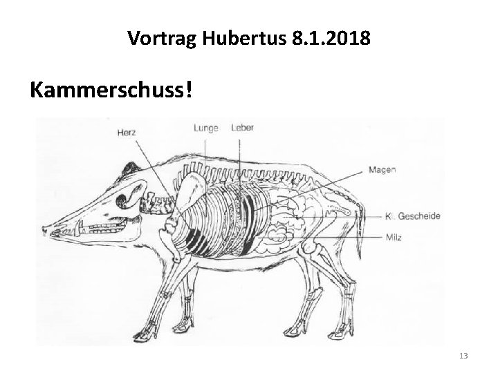 Vortrag Hubertus 8. 1. 2018 Kammerschuss! 13 