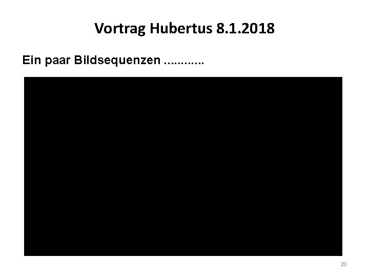 Vortrag Hubertus 8. 1. 2018 Ein paar Bildsequenzen. . . 20 