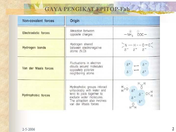 GAYA PENGIKAT EPITOP-Fab 2 -5 -2006 2 