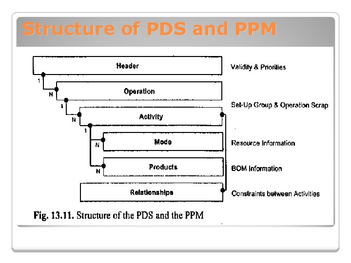 Structure of PDS and PPM 