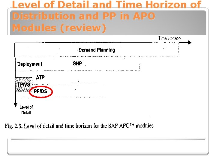 Level of Detail and Time Horizon of Distribution and PP in APO Modules (review)