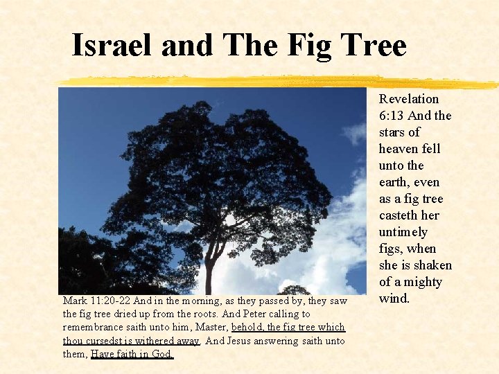 Israel and The Fig Tree Mark 11: 20 -22 And in the morning, as