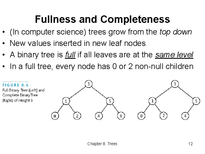 Fullness and Completeness • • (In computer science) trees grow from the top down