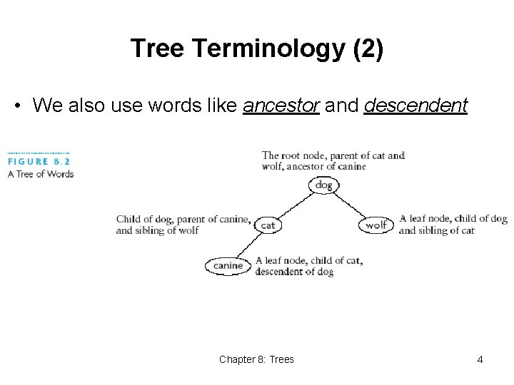 Tree Terminology (2) • We also use words like ancestor and descendent Chapter 8: