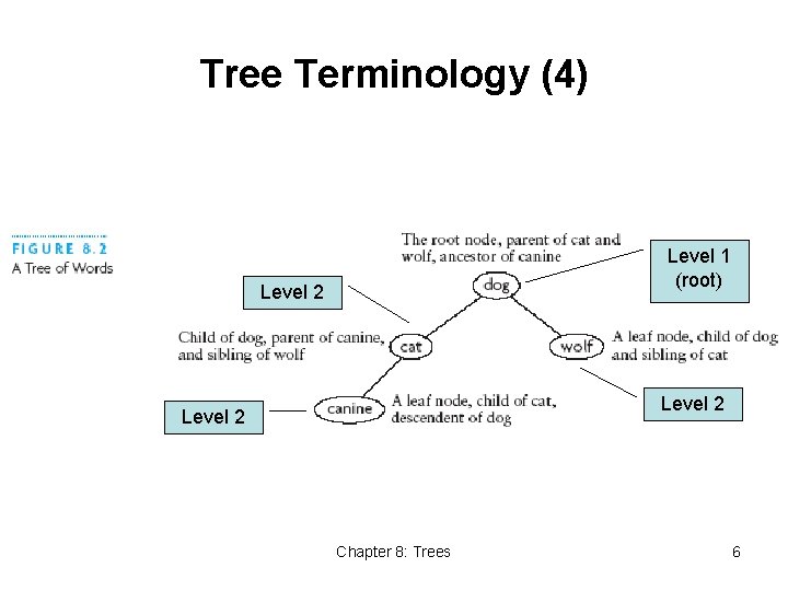 Tree Terminology (4) Level 1 (root) Level 2 Chapter 8: Trees 6 