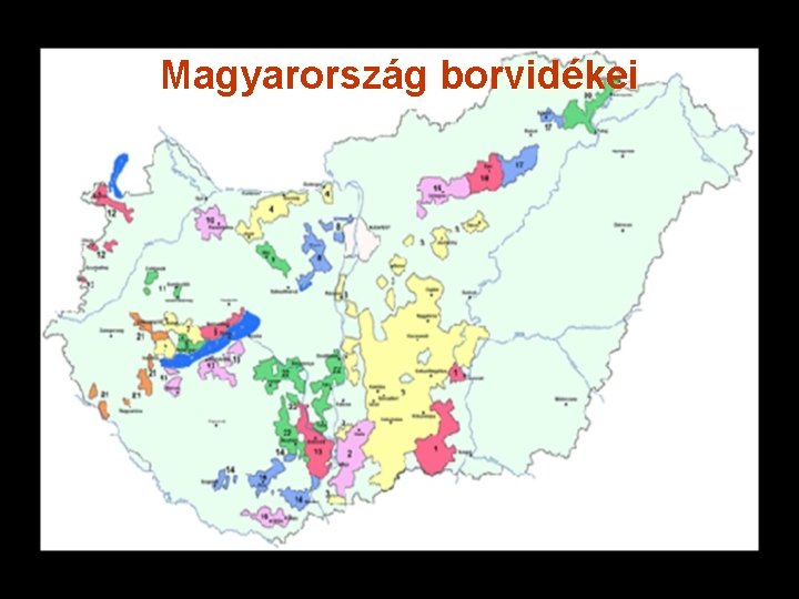Magyarország borvidékei 