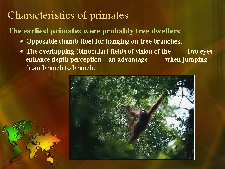 Characteristics of primates The earliest primates were probably tree dwellers. Opposable thumb (toe) for