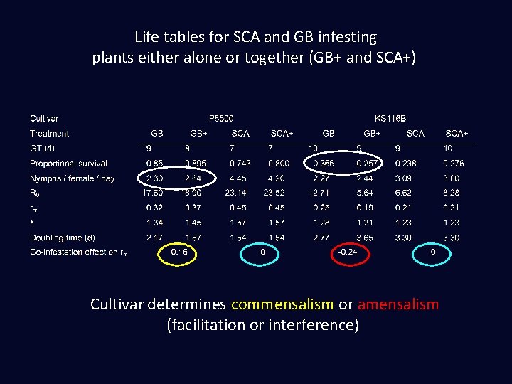 Life tables for SCA and GB infesting plants either alone or together (GB+ and