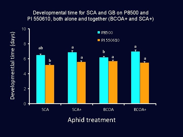 Developmental time for SCA and GB on P 8500 and PI 550610, both alone