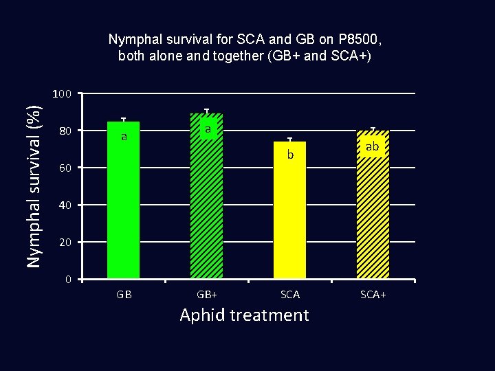 Nymphal survival for SCA and GB on P 8500, both alone and together (GB+