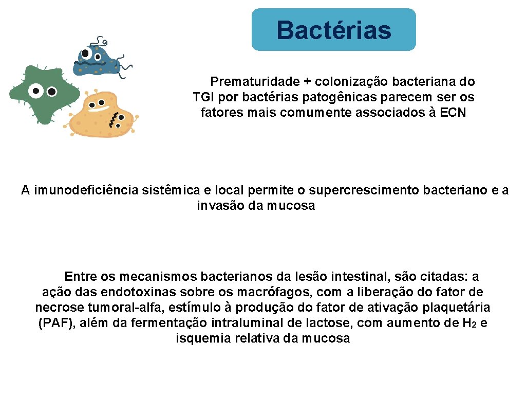 Bactérias Prematuridade + colonização bacteriana do TGI por bactérias patogênicas parecem ser os fatores