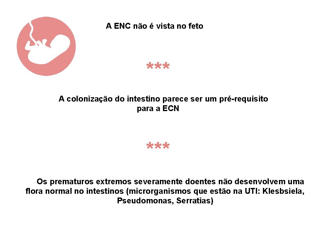 A ENC não é vista no feto *** A colonização do intestino parece ser