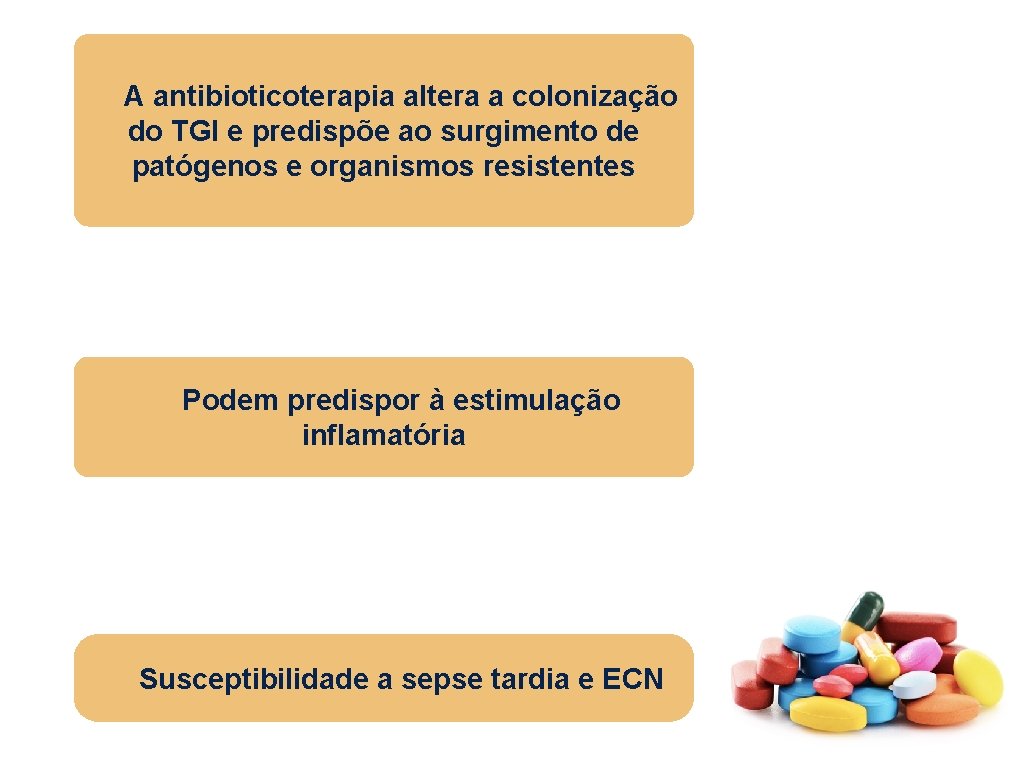 A antibioticoterapia altera a colonização do TGI e predispõe ao surgimento de patógenos e