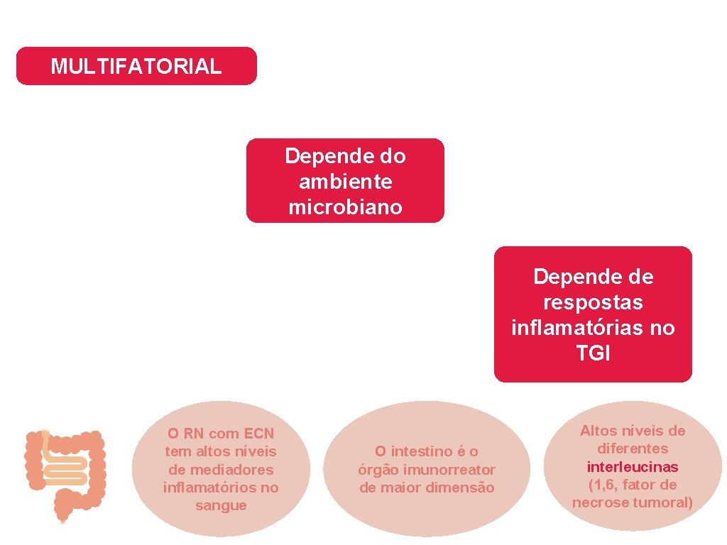 MULTIFATORIAL Depende do ambiente microbiano Depende de respostas inflamatórias no TGI O RN com