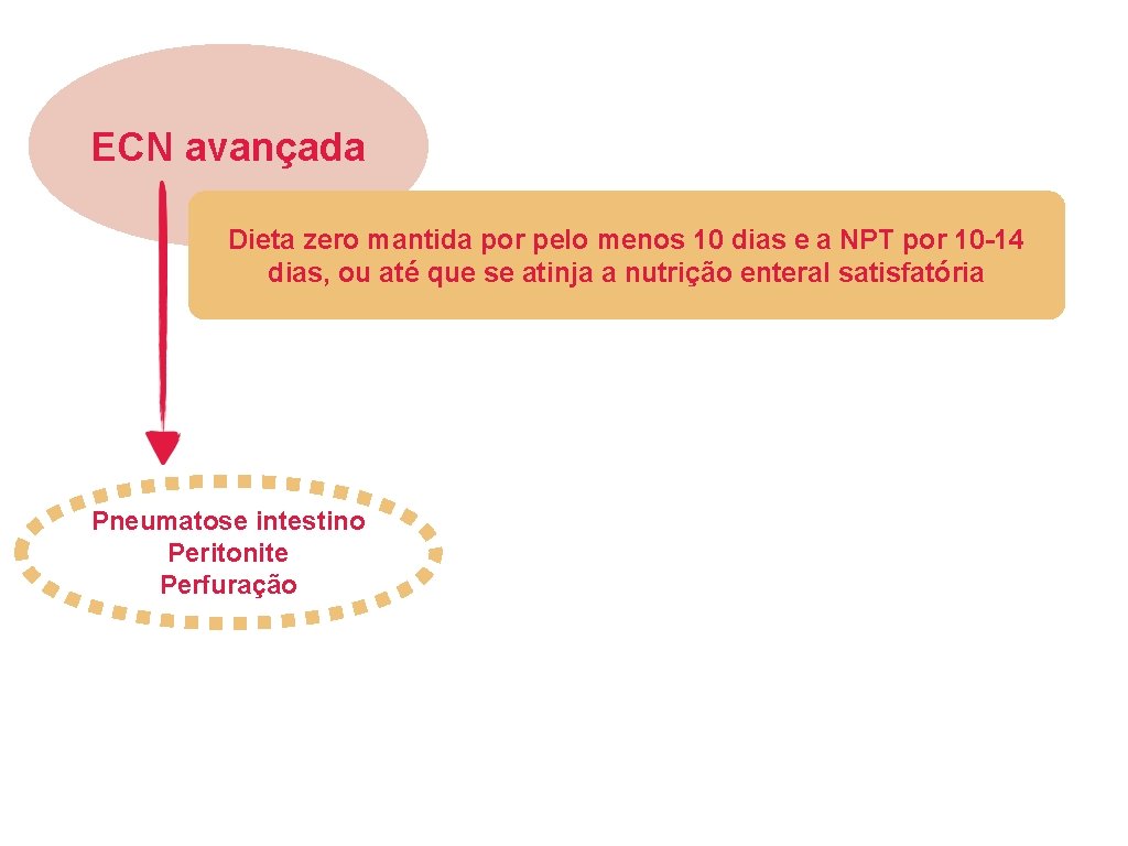 ECN avançada Dieta zero mantida por pelo menos 10 dias e a NPT por