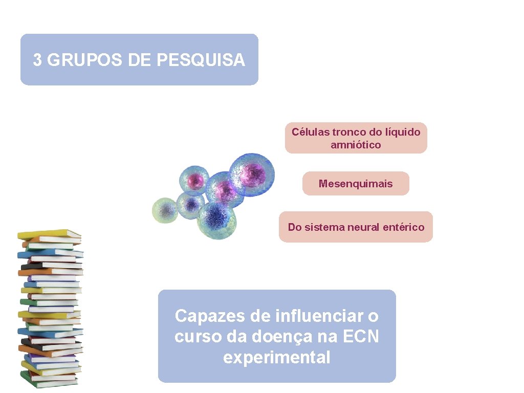 3 GRUPOS DE PESQUISA Células tronco do líquido amniótico Mesenquimais Do sistema neural entérico