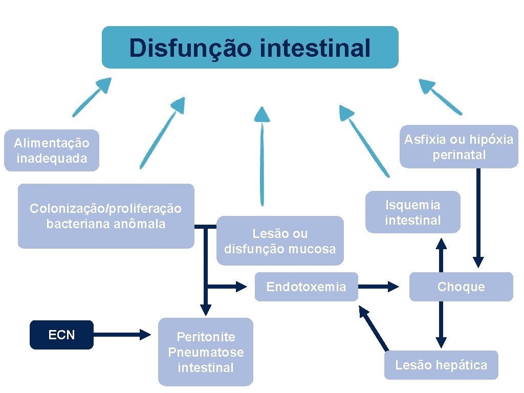 Disfunção intestinal Asfixia ou hipóxia perinatal Alimentação inadequada Colonização/proliferação bacteriana anômala Lesão ou disfunção