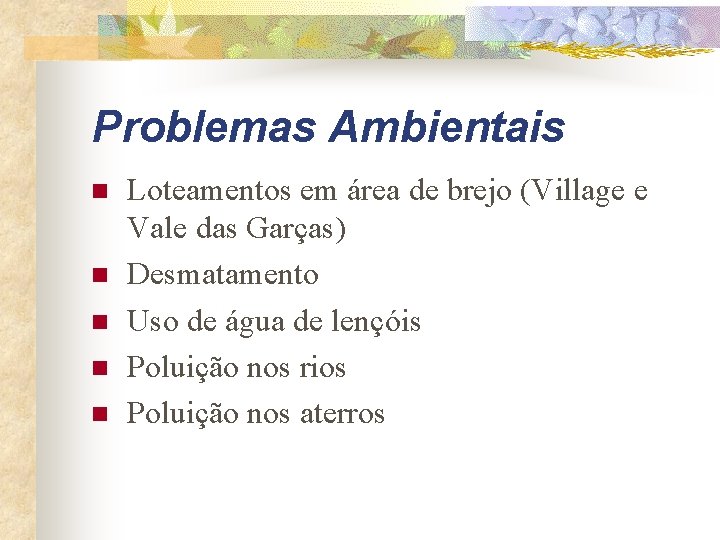 Problemas Ambientais n n n Loteamentos em área de brejo (Village e Vale das
