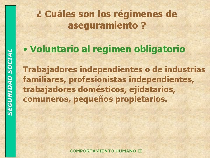 SEGURIDAD SOCIAL FACTORES INTERNOS Objetivos y valores de