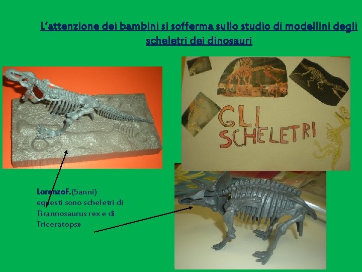 L’attenzione dei bambini si sofferma sullo studio di modellini degli scheletri dei dinosauri Lorenzo.