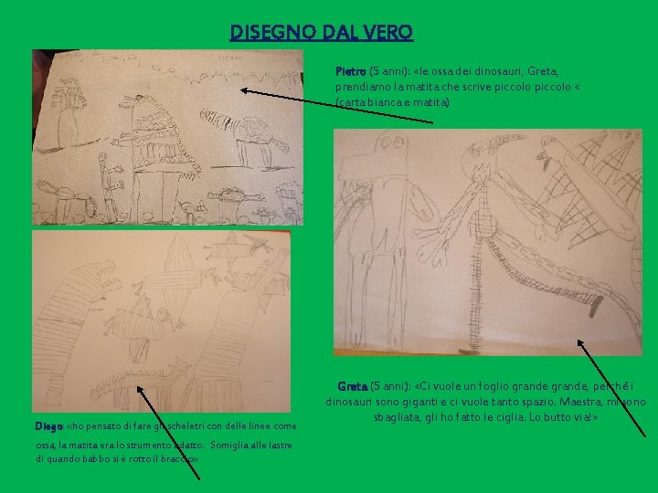 DISEGNO DAL VERO Pietro (5 anni): «le ossa dei dinosauri, Greta, prendiamo la matita