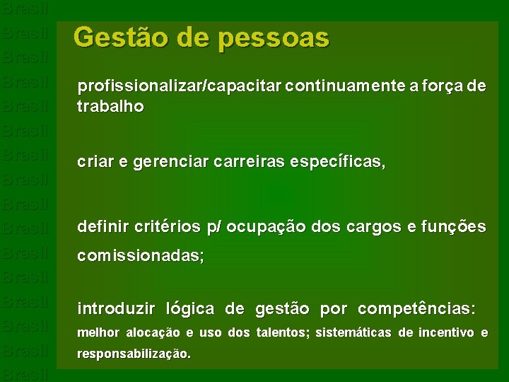 Brasil Brasil Brasil Brasil Gestão de pessoas profissionalizar/capacitar continuamente a força de trabalho criar