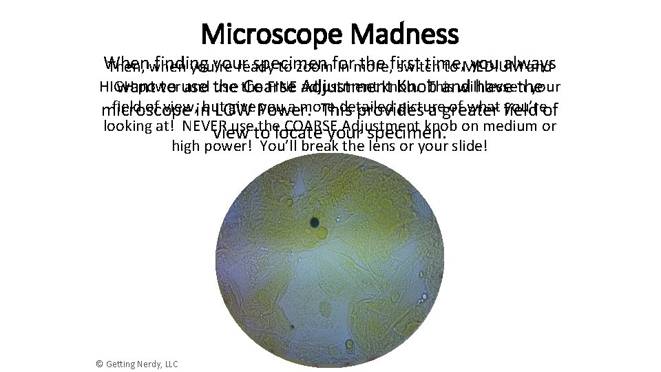 Microscope Madness When finding your specimen the first time, you always Then, when you’re