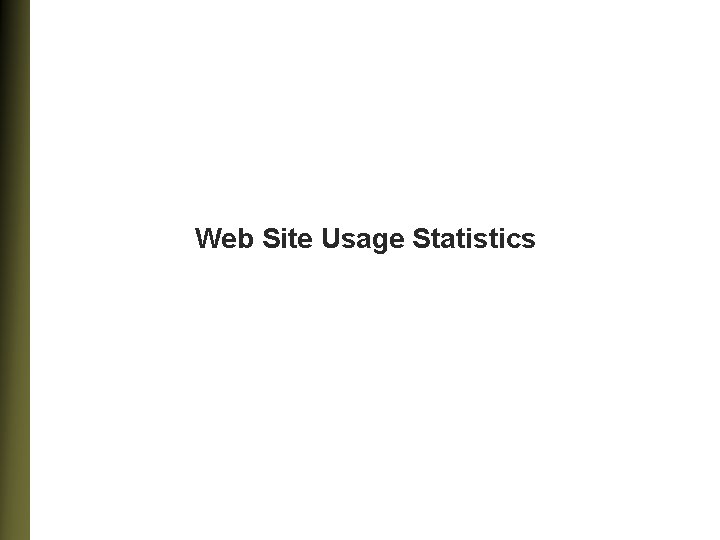 Web Site Usage Statistics 