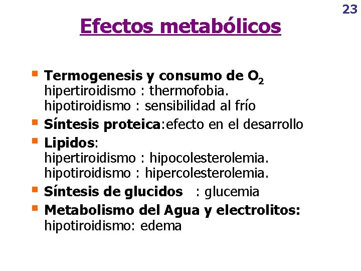 Efectos metabólicos § Termogenesis y consumo de O 2 § § hipertiroidismo : thermofobia.