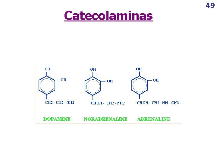 Catecolaminas 49 