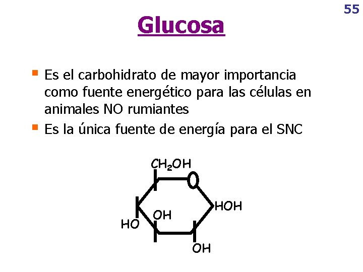 Glucosa § Es el carbohidrato de mayor importancia § como fuente energético para las