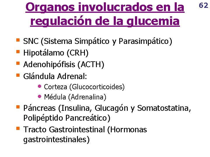 Organos involucrados en la regulación de la glucemia § SNC (Sistema Simpático y Parasimpático)
