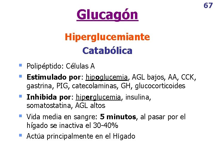 Glucagón Hiperglucemiante Catabólica § § Polipéptido: Células A § Inhibida por: hiperglucemia, insulina, somatostatina,