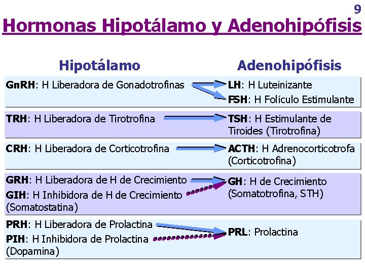 9 Hormonas Hipotálamo y Adenohipófisis Hipotálamo Adenohipófisis Gn. RH: H Liberadora de Gonadotrofinas LH: