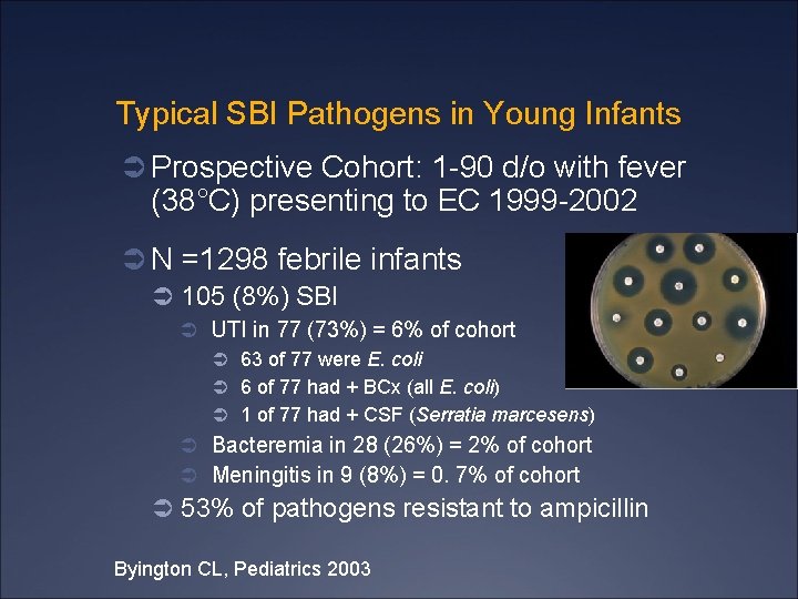 Typical SBI Pathogens in Young Infants Ü Prospective Cohort: 1 -90 d/o with fever