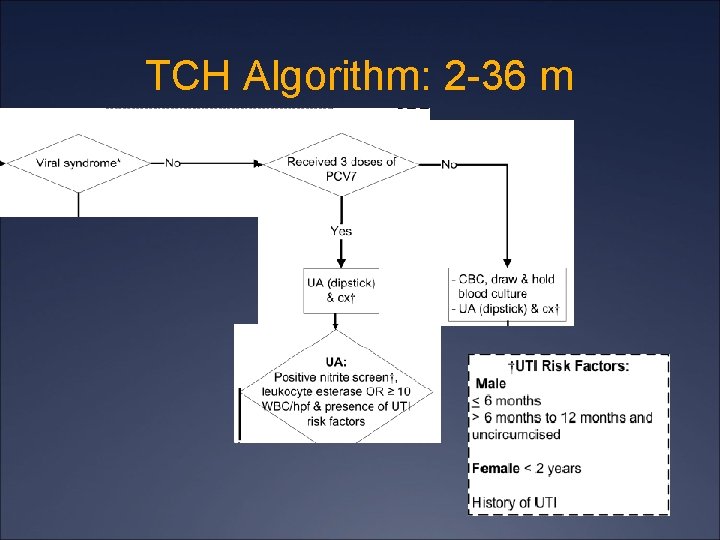 TCH Algorithm: 2 -36 m 