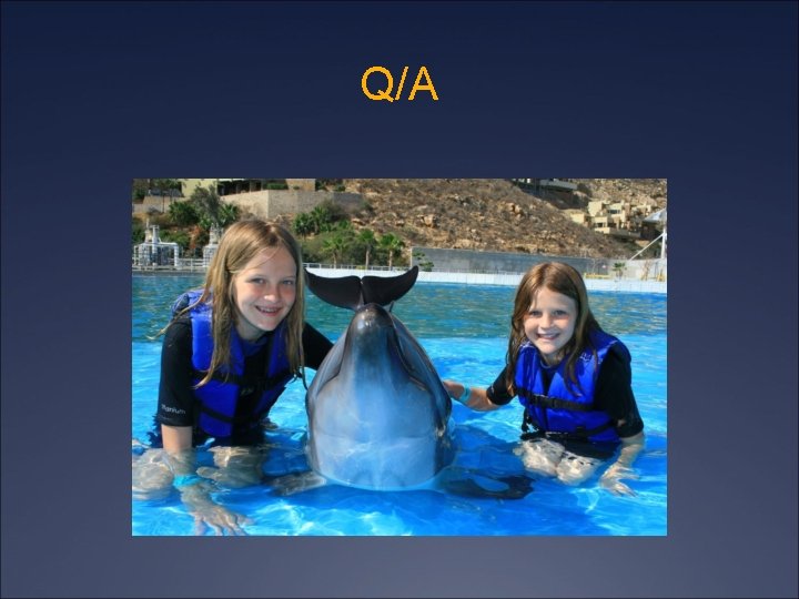 Q/A 